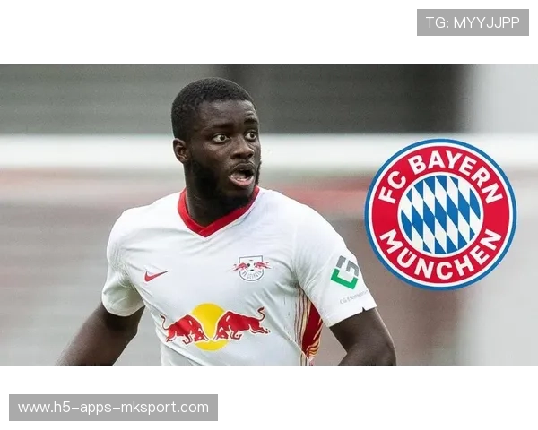 拜仁将在全球范围内寻找合作伙伴推广训练理念